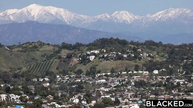 Hot Babe Haley Reed Needs BBC!