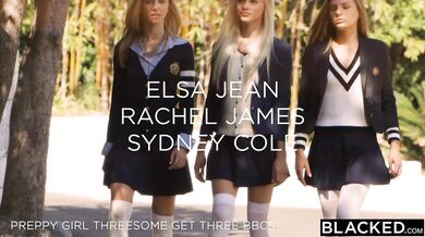 An entire squad of heavy hitters descends on these blonde and ebony vixens, leaving their tight holes absolutely pulverized by monster BBCs