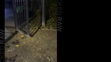 Blonde Besties Ashby Winter And Lily Blossom Go On For BBCs